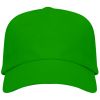 Gorras serigrafiadas roly uranus de 100% algodón verde helecho vista 1