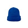 Gorros invierno roly planet de poliéster azul royal con impresión vista 1